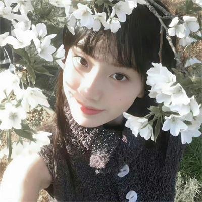 新猛龙过江